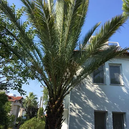 Dalyan Gunaydin Apart Ортаджа